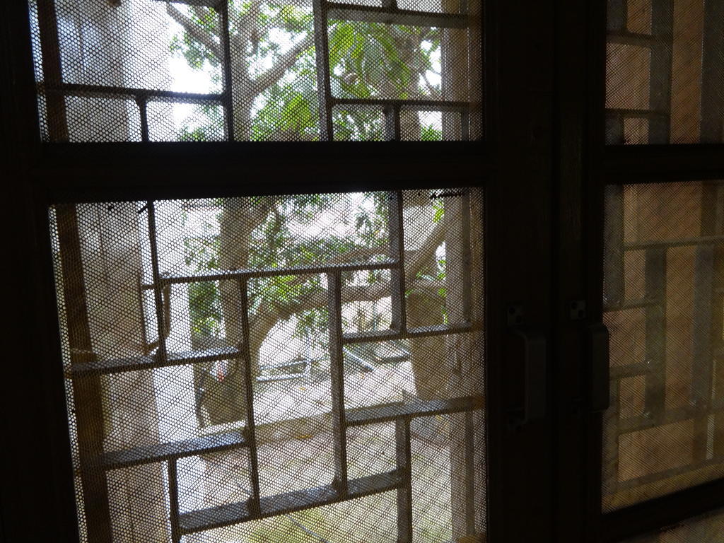 Hotel Upasana Bhubaneswar Værelse billede